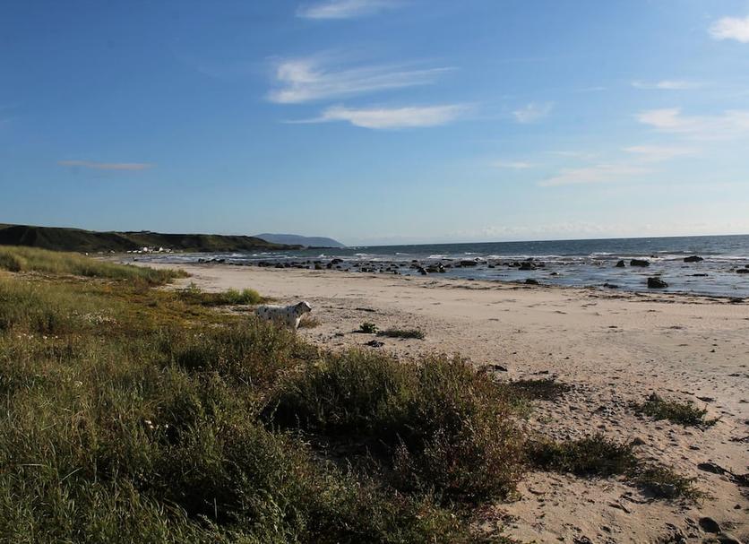 Plage Photo
