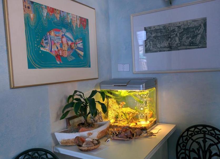 Équipements de la chambre Photo
