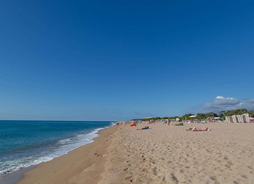 Plage Photo