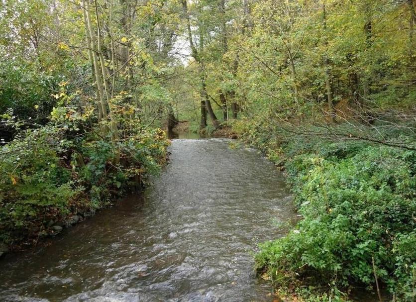 Extérieur Photo