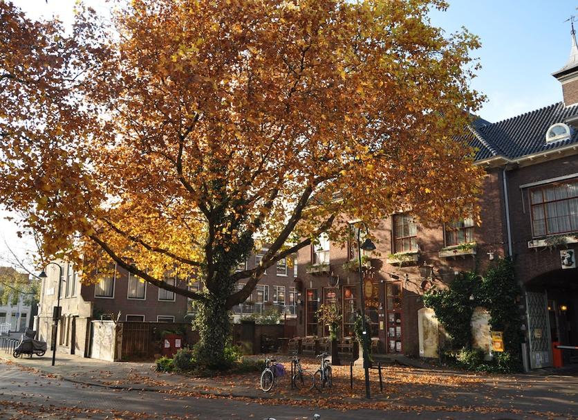 Bâtiment Photo