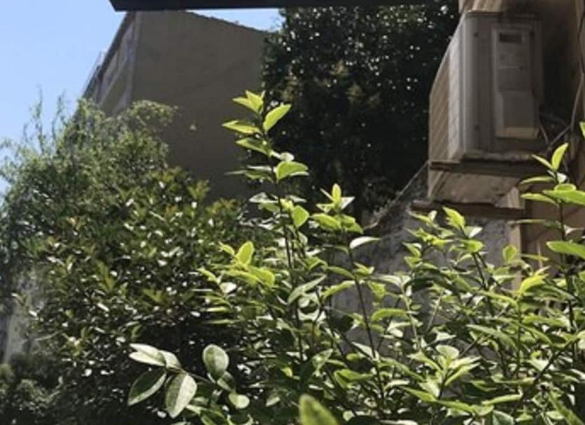 Extérieur Photo