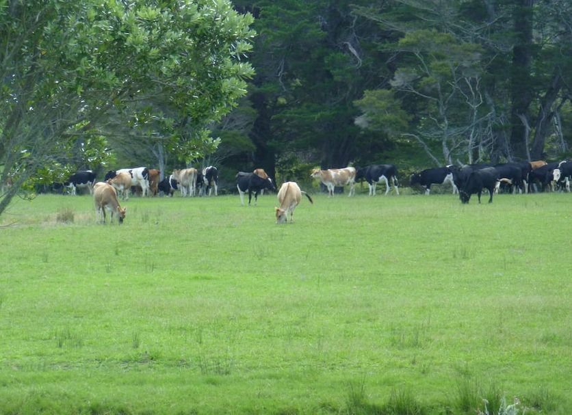 Autre Photo