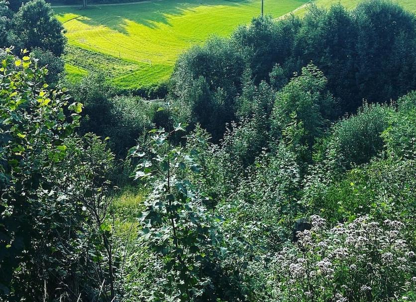 Extérieur Photo