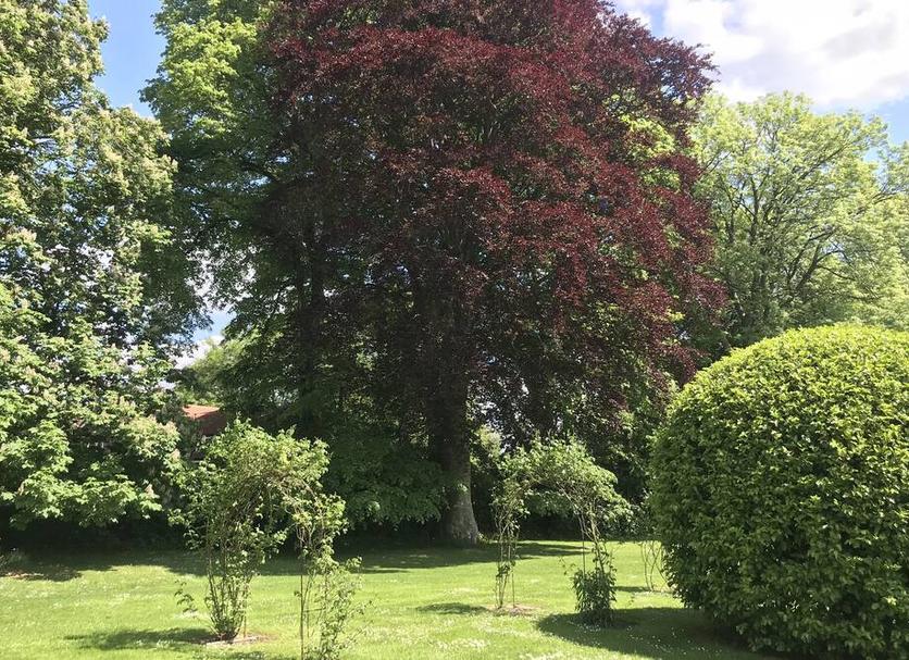 Extérieur Photo