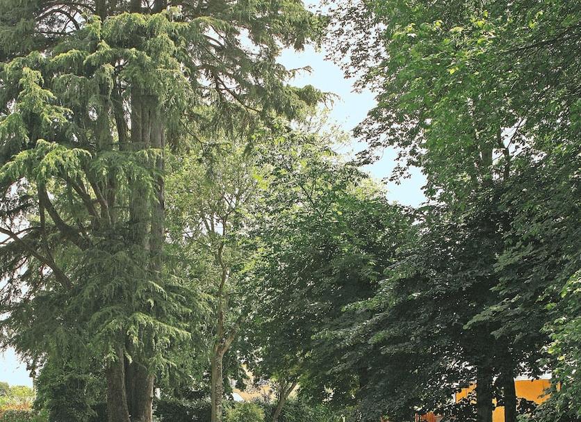 Extérieur Photo
