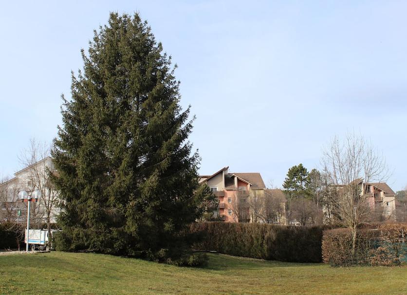 Extérieur Photo