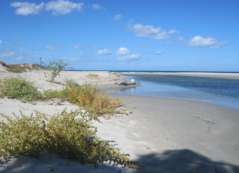 Plage Photo