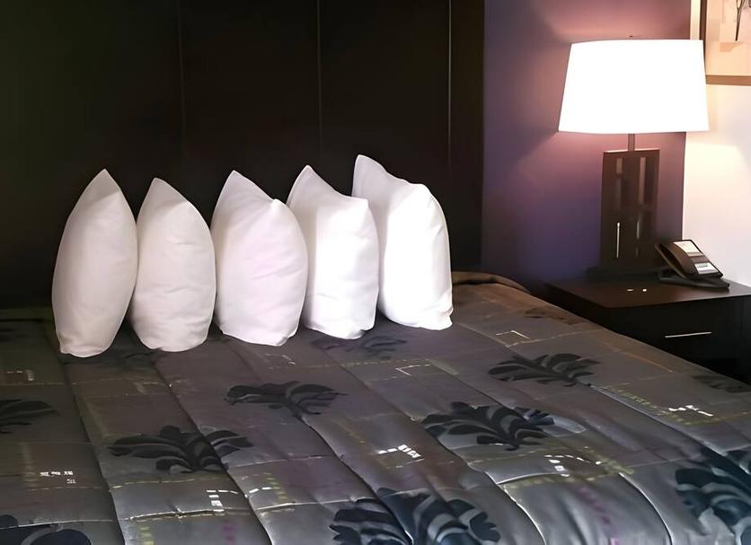 Équipements de la chambre Photo