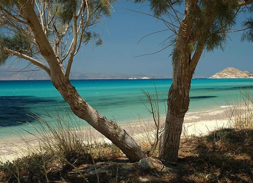 Plage Photo