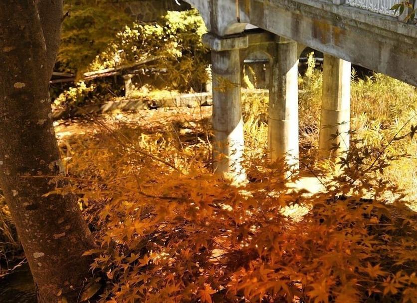Extérieur Photo