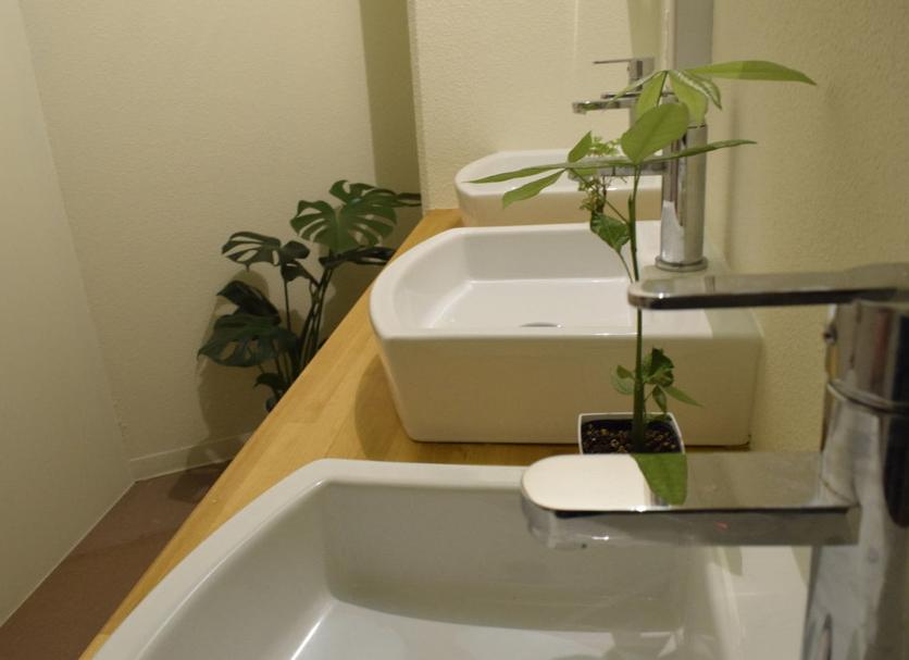 Salle de bain Photo