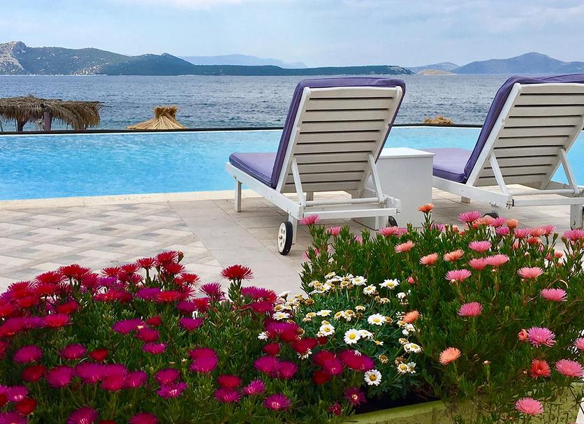 Piscine Photo