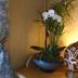 Décor