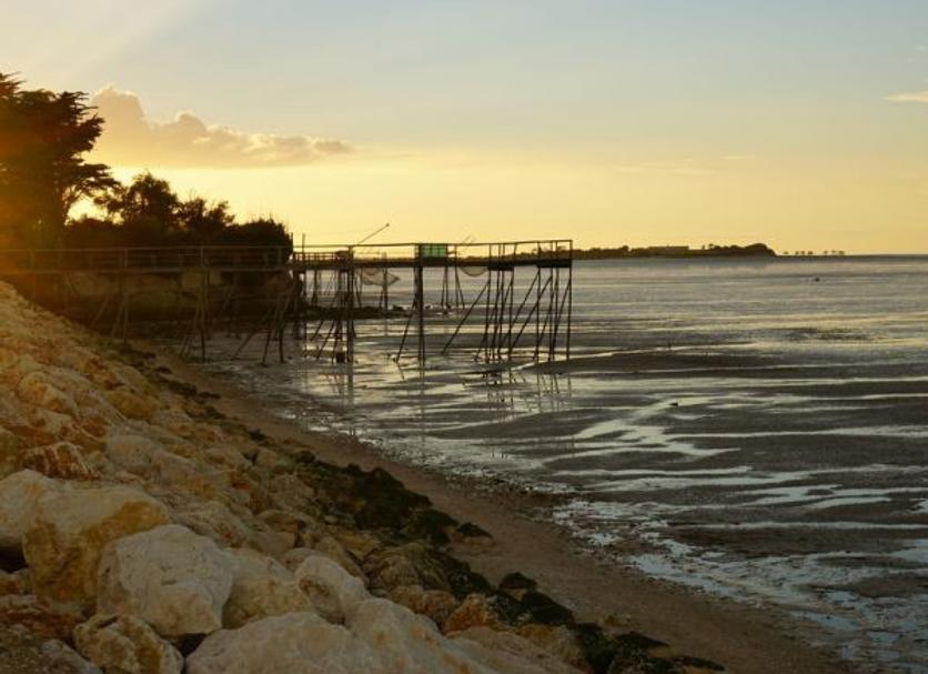 Plage Photo