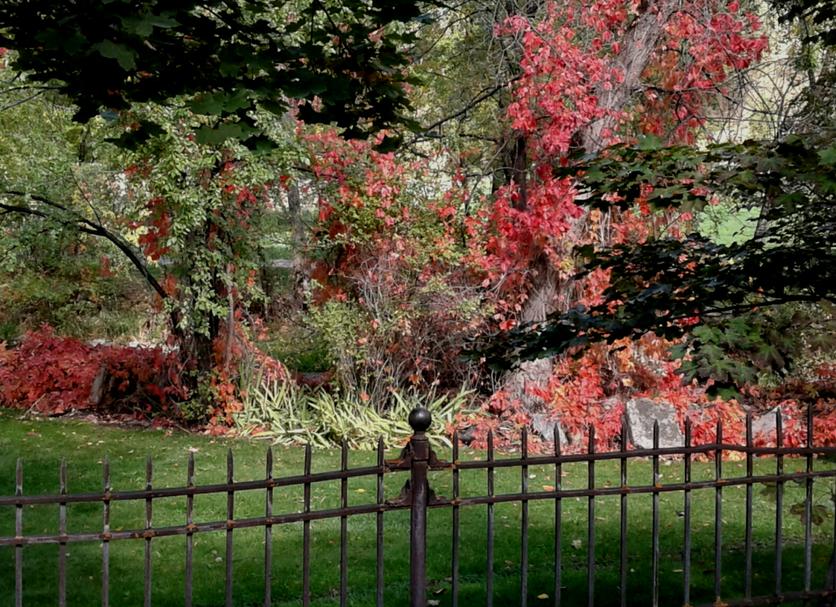 Extérieur Photo