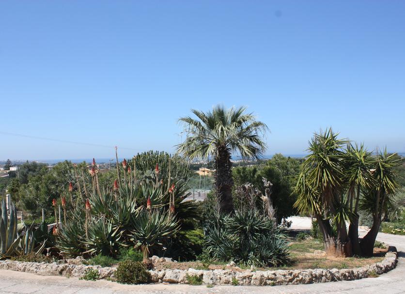 Extérieur Photo