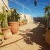 Toit-terrasse