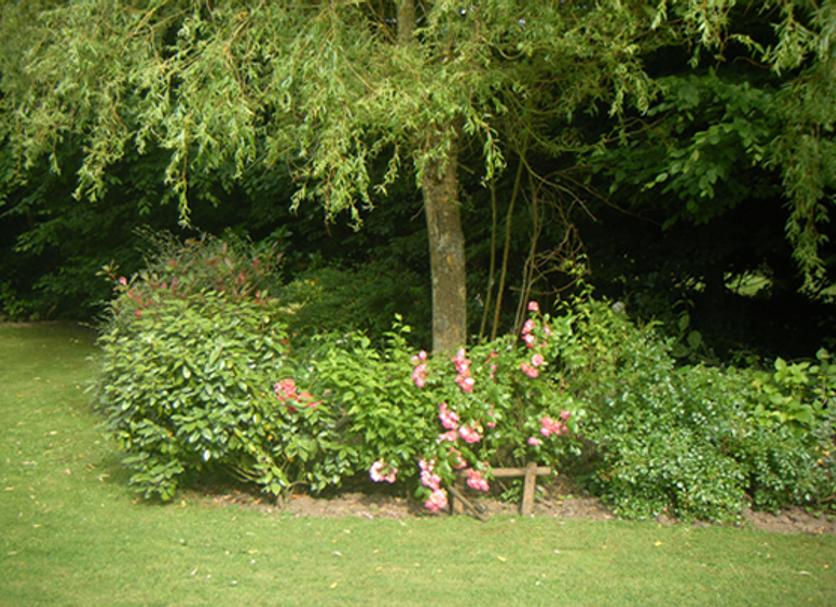 Extérieur Photo