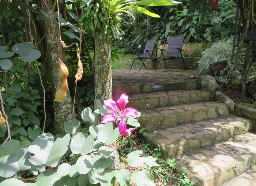 Extérieur Photo