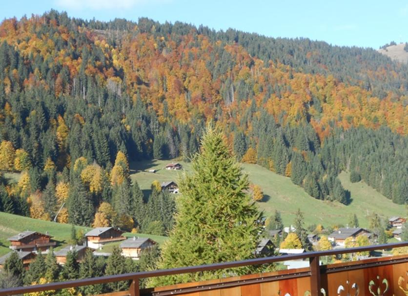 Balcon Photo