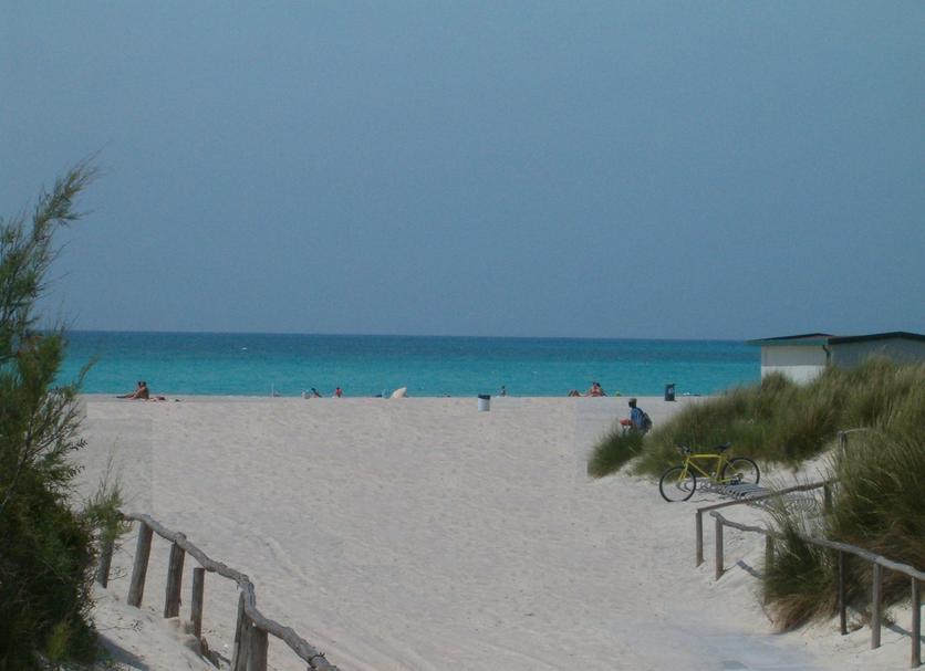 Plage Photo