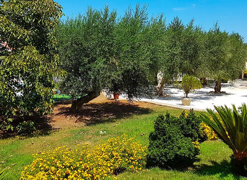 Extérieur Photo